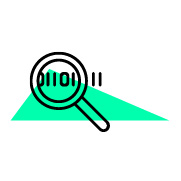 Ubiquitous Scaling